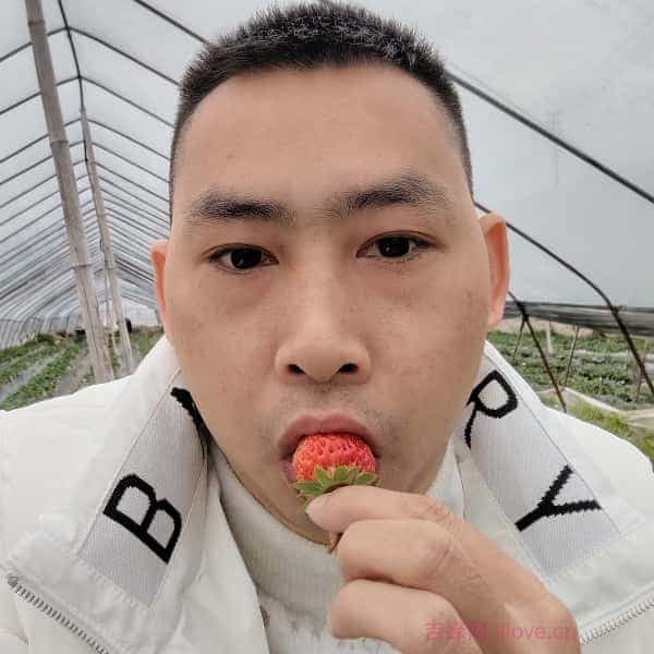 中山征婚相亲网